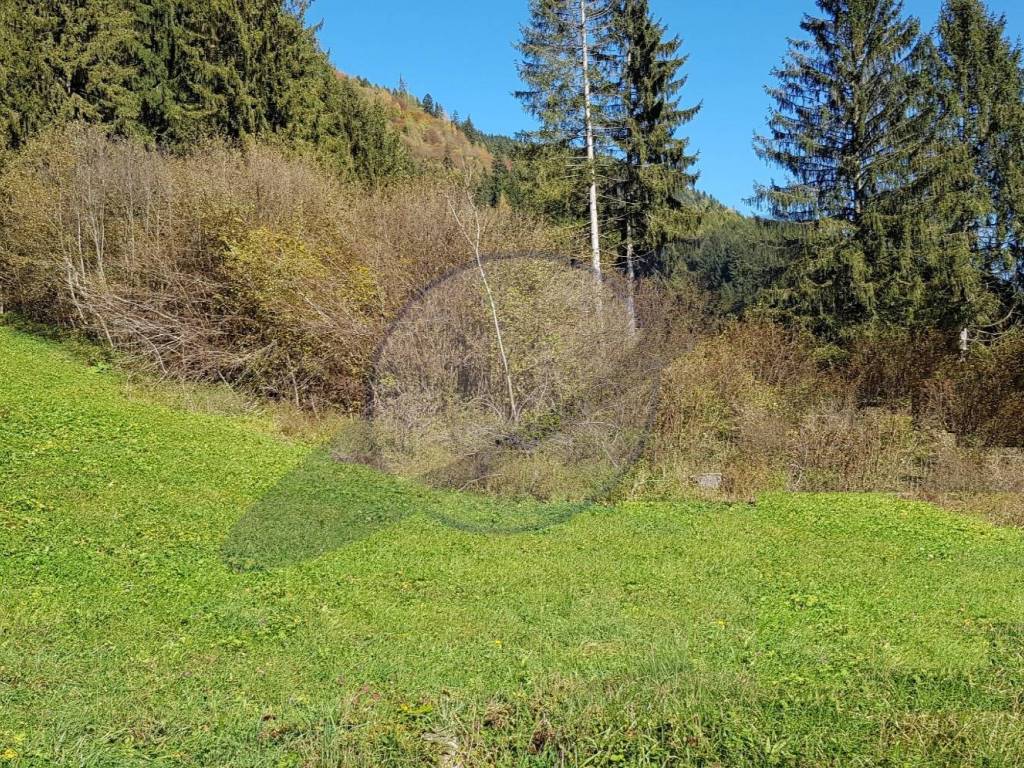 Terreno a Borno - Foto 2