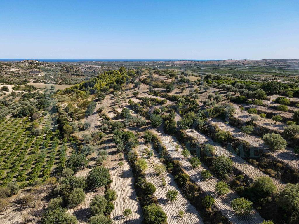 Terreno a Noto in Via Tommaso Fazello, 228 - Foto 3