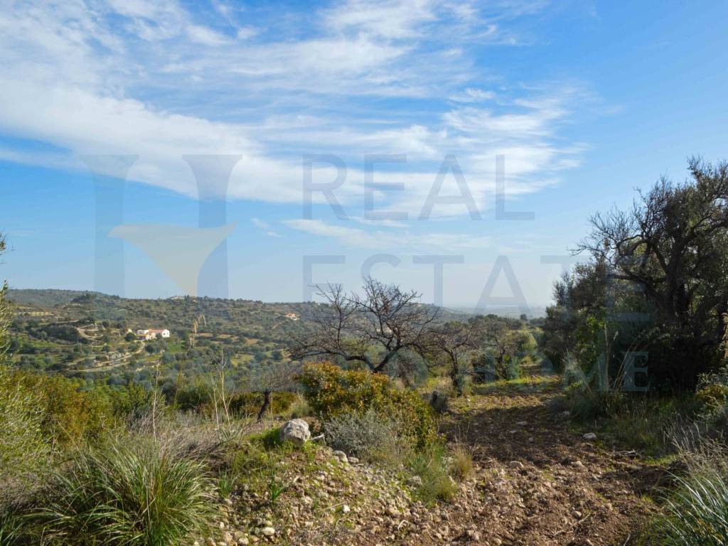 Terreno a Noto in Via Tommaso Fazello, 228 - Foto 4