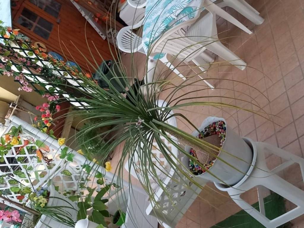 Appartamento a Grottammare - Foto 4