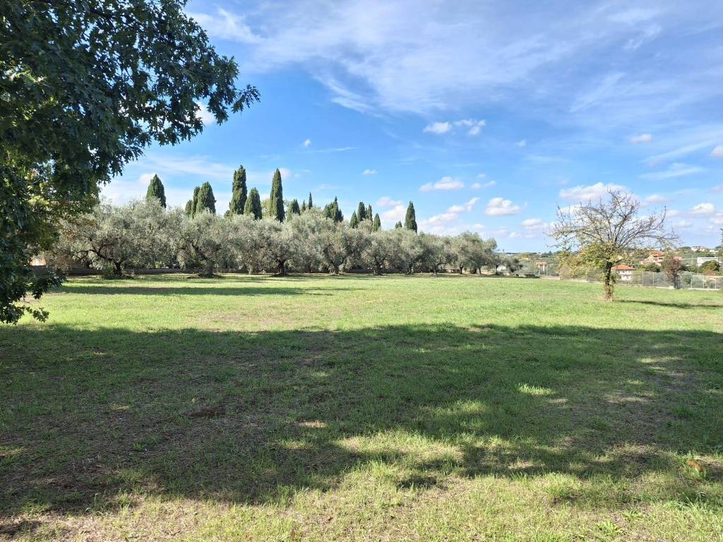 Villa a Genzano di roma in VIA STRAGONELLO - Foto 3