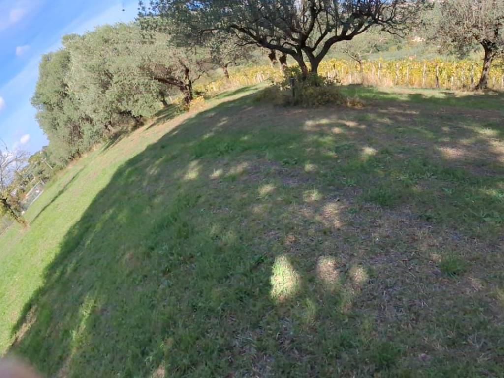 Villa a Genzano di roma in VIA STRAGONELLO - Foto 4