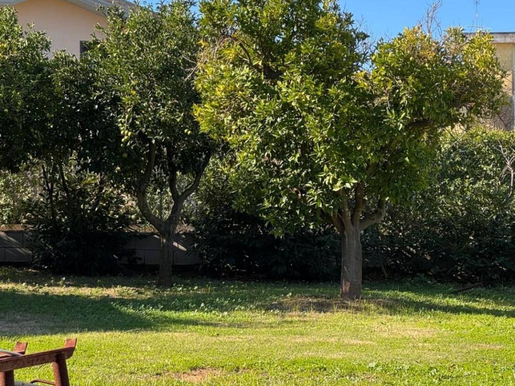 Terreno a Nettuno in Via Canepina - Foto 2