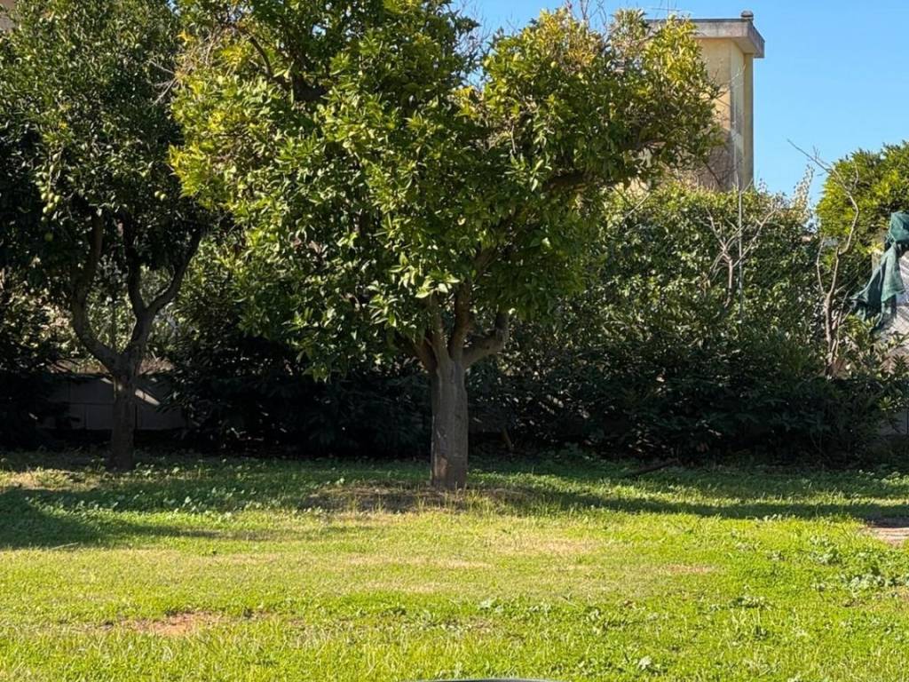 Terreno a Nettuno in Via Canepina - Foto 5