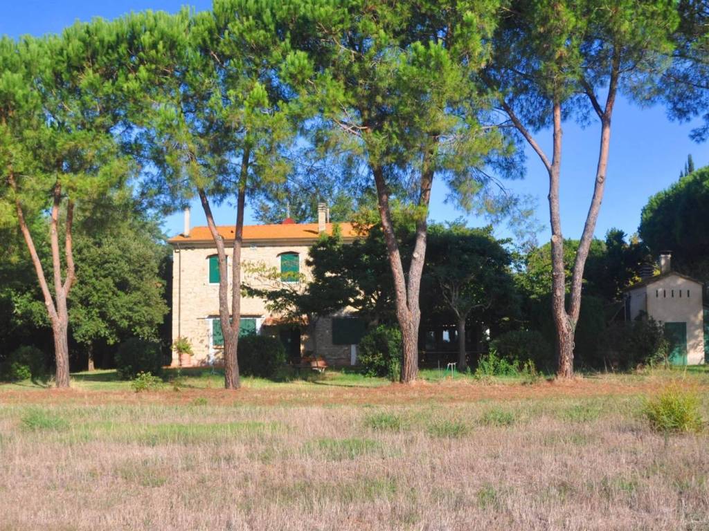 Rustico / casale a Rosignano marittimo in Stradone della Torre - Foto 2