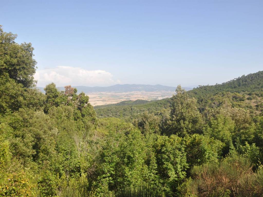 Terreno a Rosignano marittimo - Foto 2