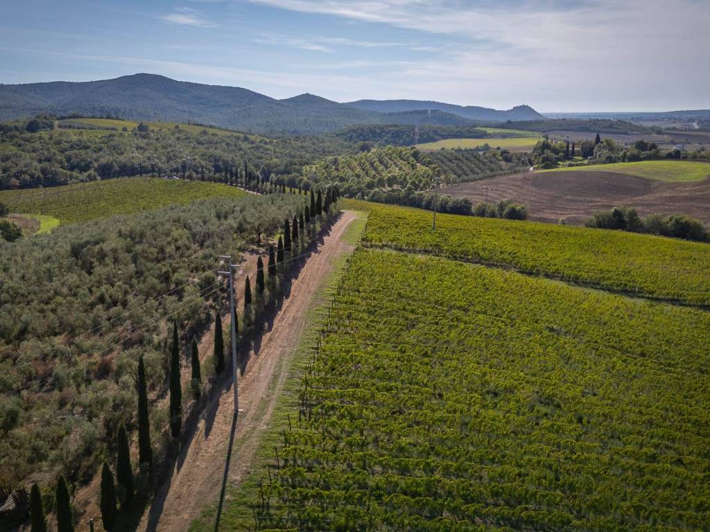 Rustico / casale a Manciano in Via Fonte Vecchie - Foto 3