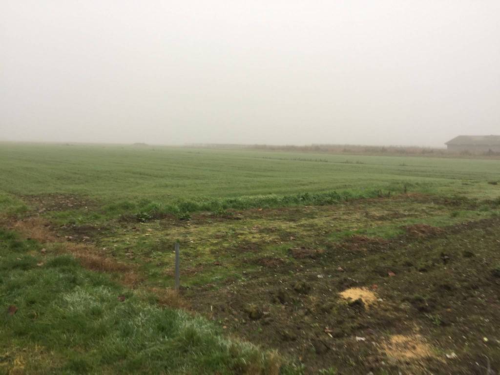 Terreno a Soliera in Via Carpi Ravarino, 614 - Foto 4