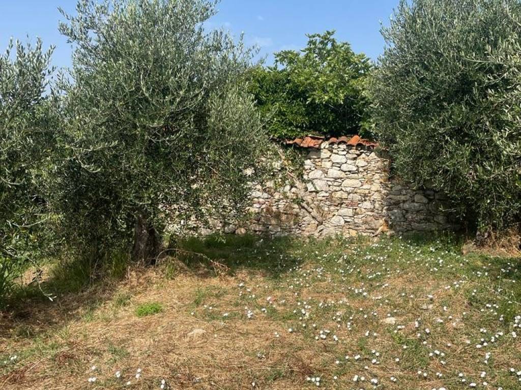 Rustico / casale a Massarosa in Via di Beretta, 24 - Foto 5