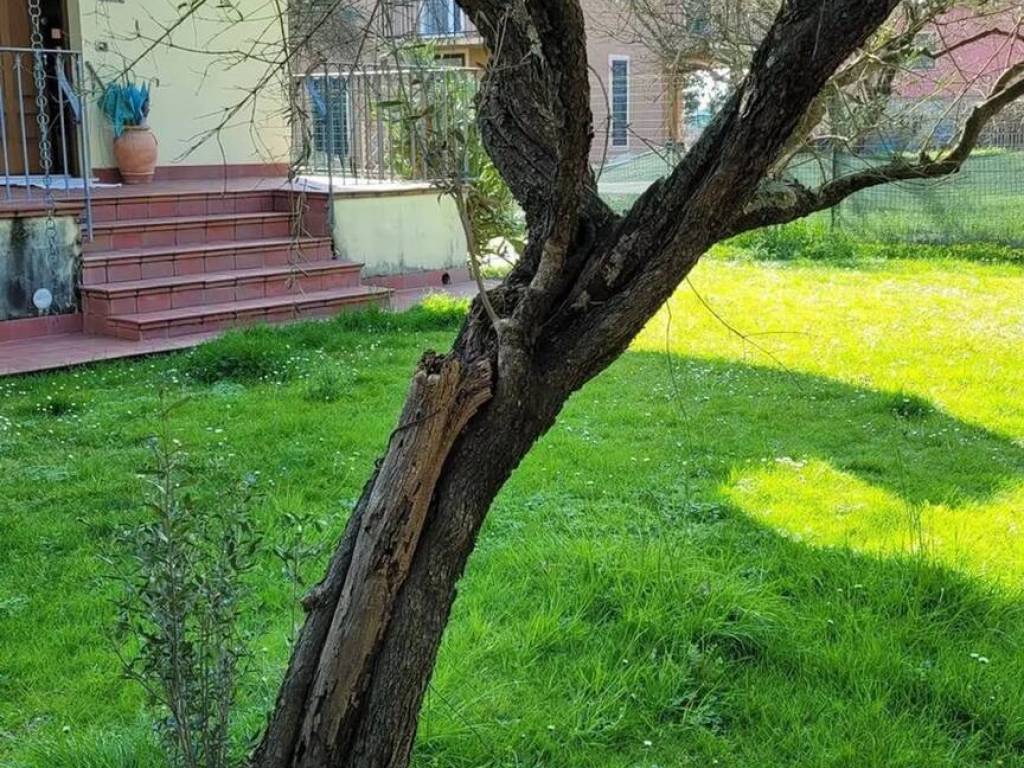 Villa a Sarzana in Via Nave S.N.C. - Foto 2