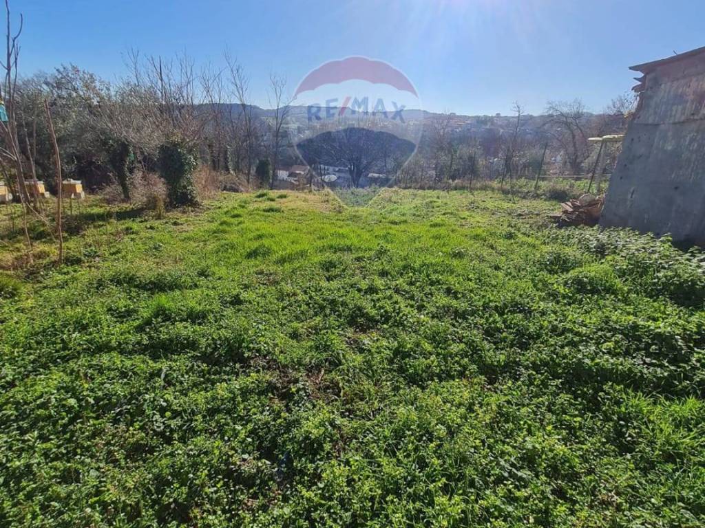 Terreno a Rapino - Foto 3