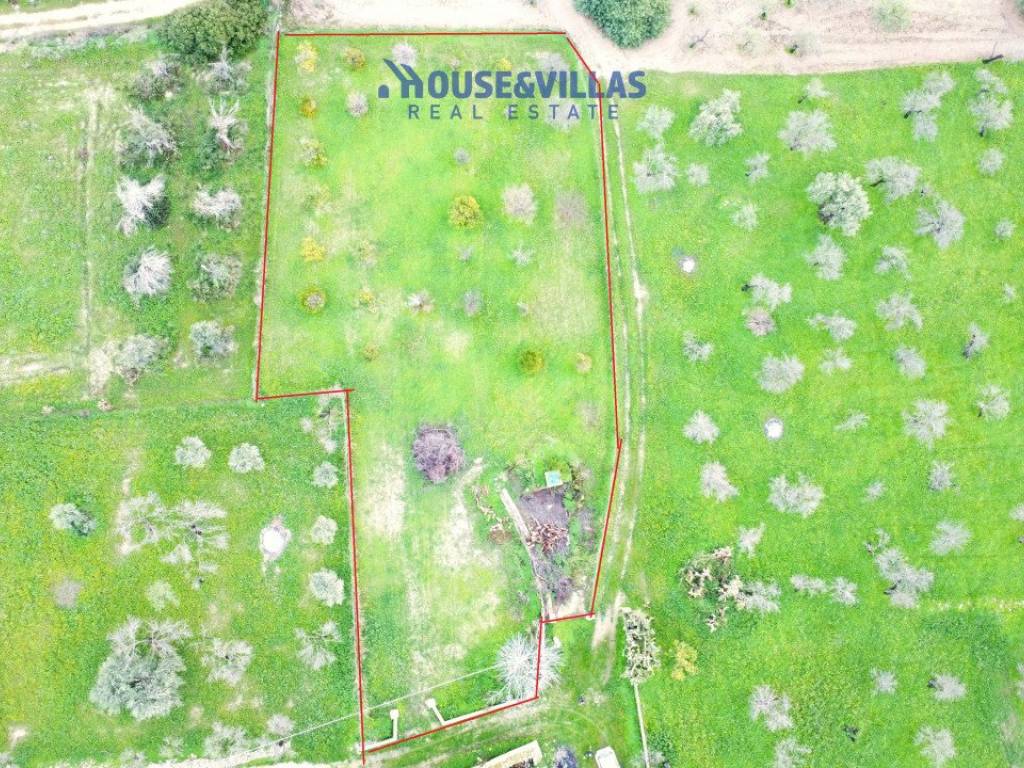 Rustico / casale a Noto in contrada vaddeddi - Foto 4