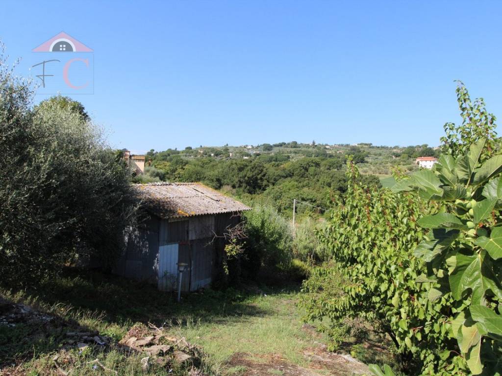 Terreno a Amelia - Foto 2