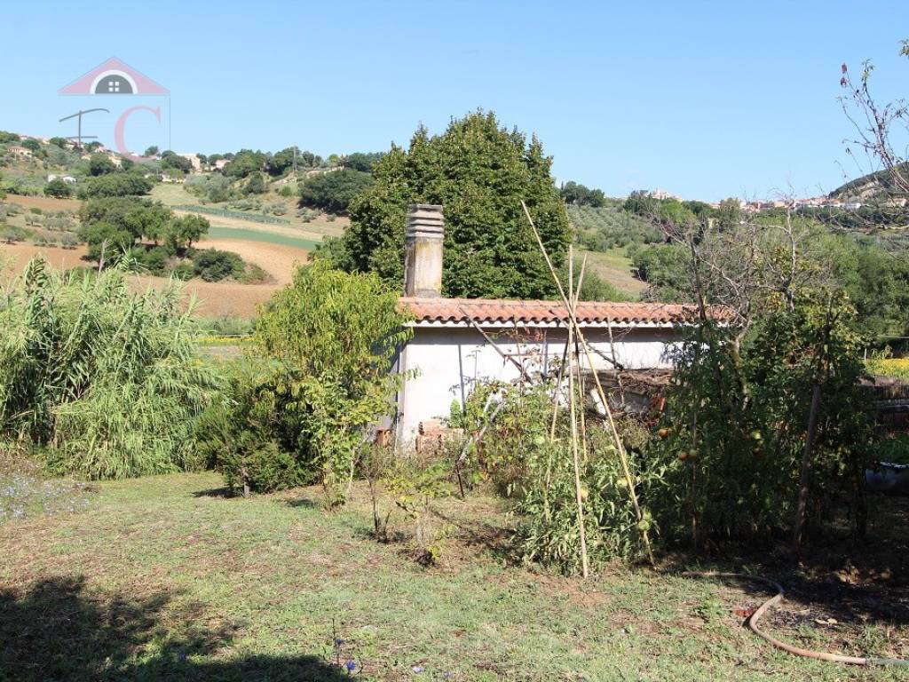 Terreno a Amelia - Foto 3