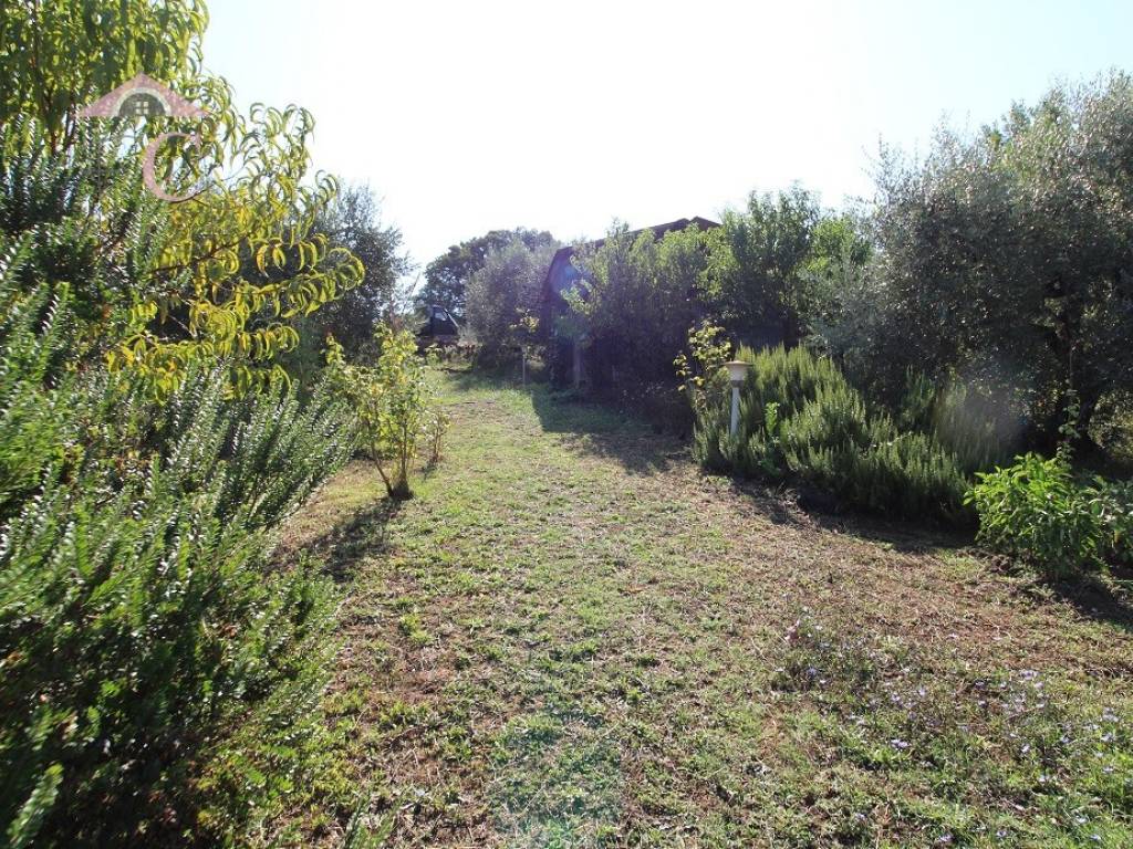 Terreno a Amelia - Foto 5