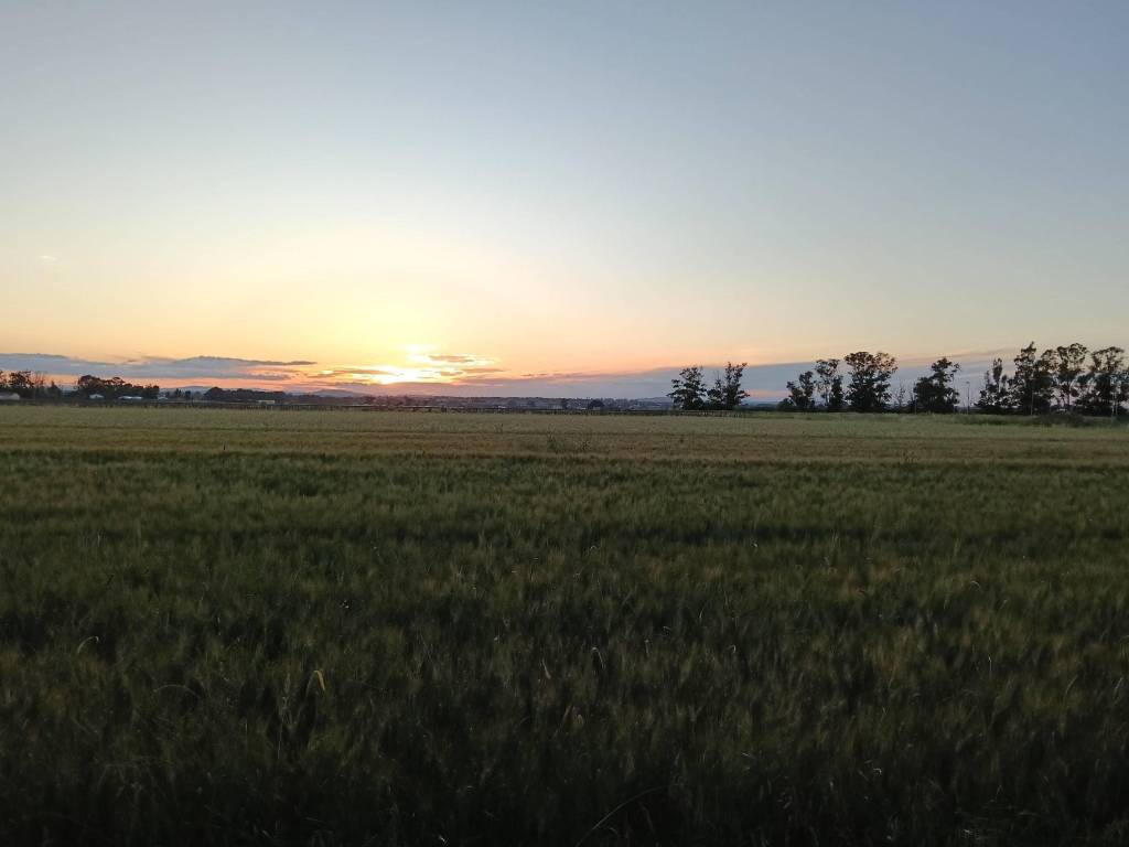 Villetta a schiera a Pisticci in Contrada Le Dune - Foto 3