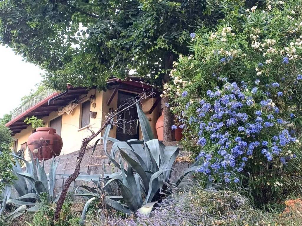 Villa a Amelia - Foto 4