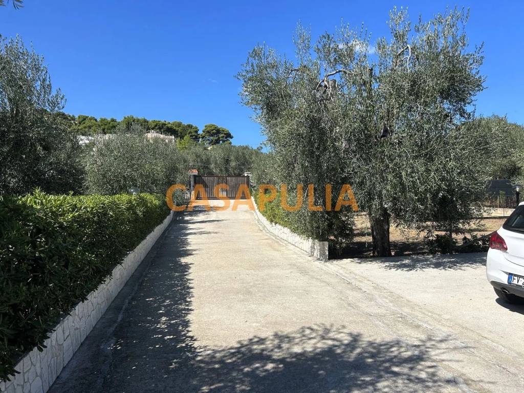 Villa a Vieste in Località Macchia Di Mauro - Foto 2