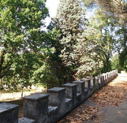 Palazzo / stabile a Chiaravalle centrale in SP171/2 - Foto 4