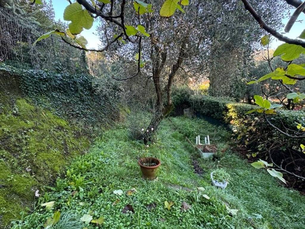 Villa a Massarosa - Foto 4