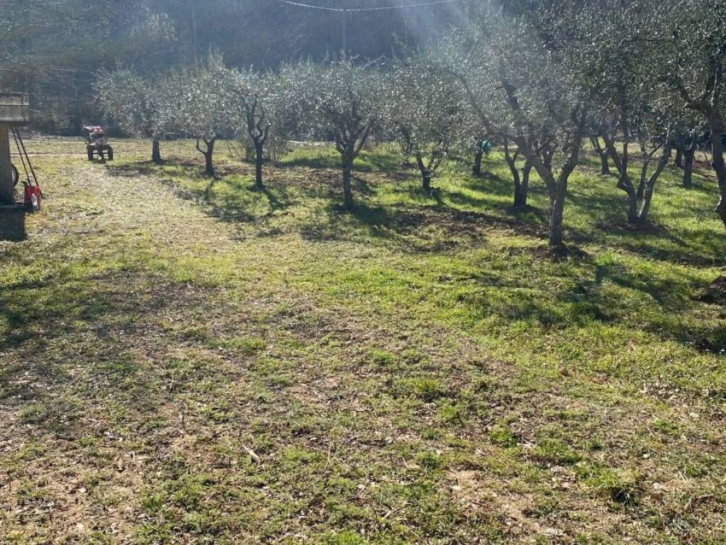 Terreno a Montemurlo in Via di Guzzano - Foto 5