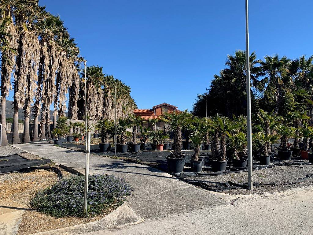 Villa a Albenga in Regione Posillico - Foto 2