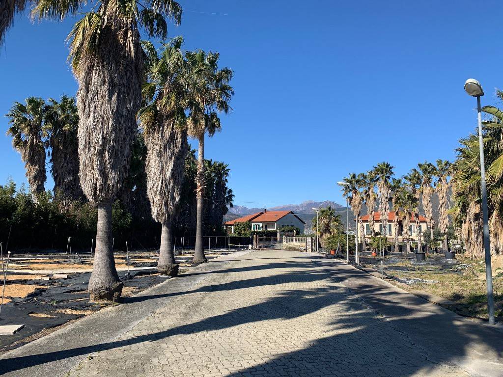 Villa a Albenga in Regione Posillico - Foto 3