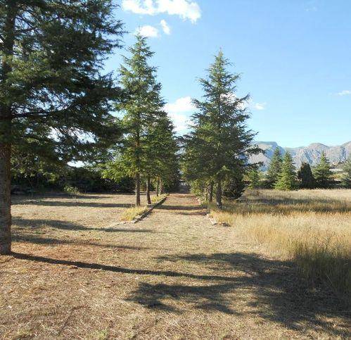 Terreno a Avezzano - Foto 2