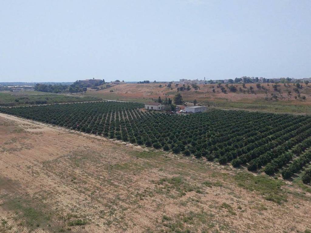 Terreno a Policoro - Foto 5
