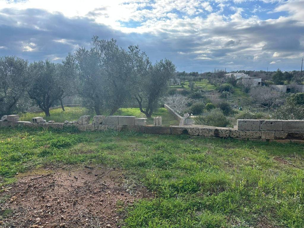 Terreno a Corsano in Strada Comunale Pesco Lo Marre Catrile - Foto 3