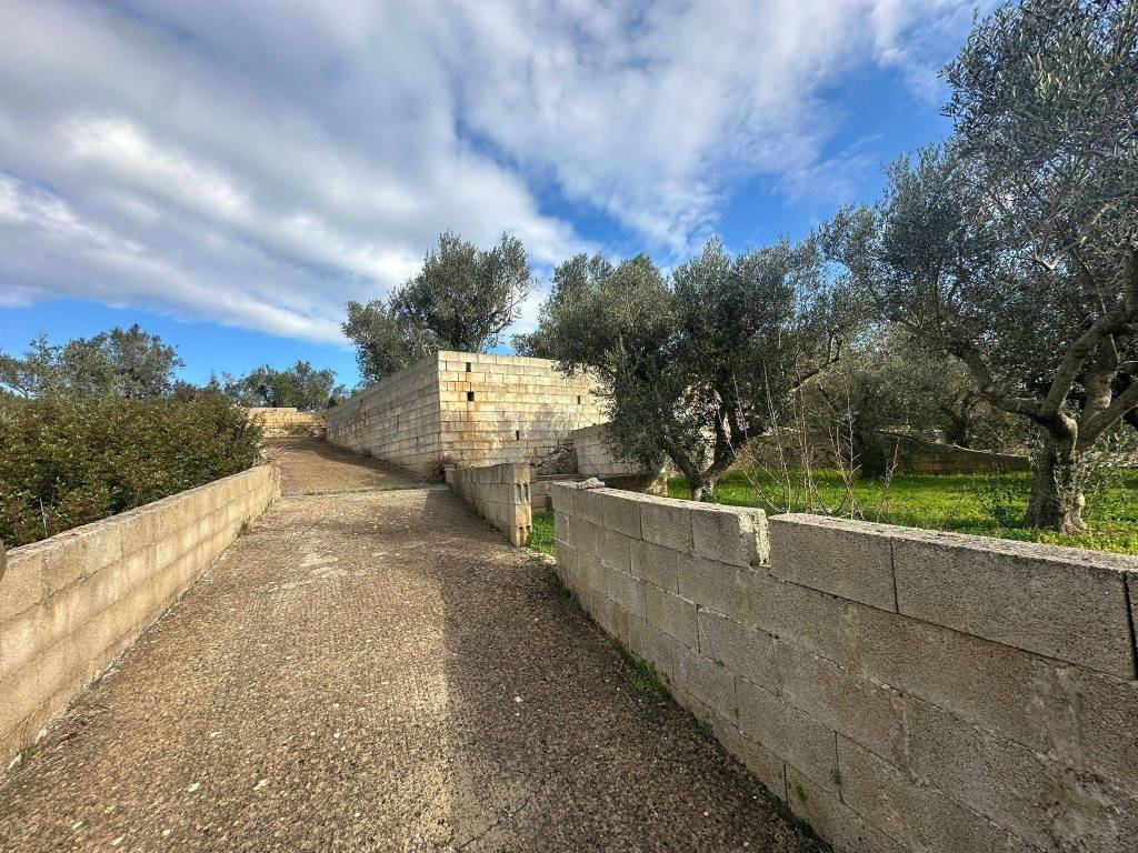 Terreno a Corsano in Strada Comunale Pesco Lo Marre Catrile - Foto 4