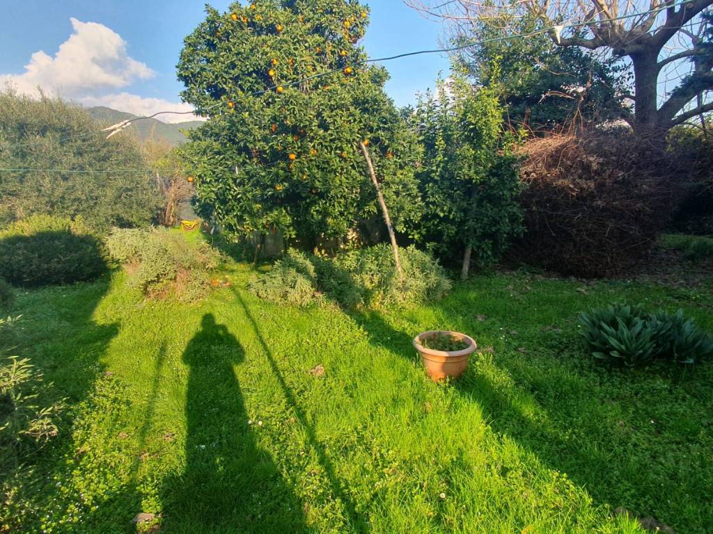 Villa a Seravezza - Foto 3