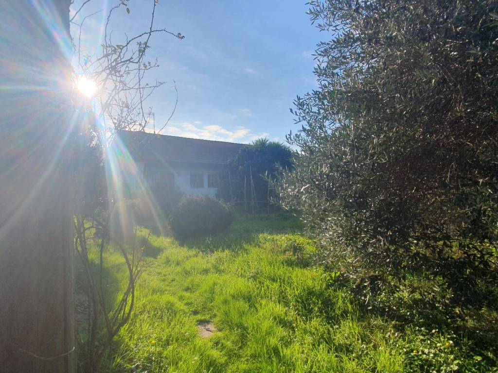 Villa a Seravezza - Foto 5