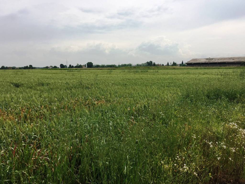 Terreno a Soliera in Via Carpi Ravarino, 613 - Foto 2