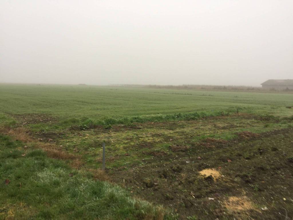 Terreno a Soliera in Via Carpi Ravarino, 613 - Foto 3