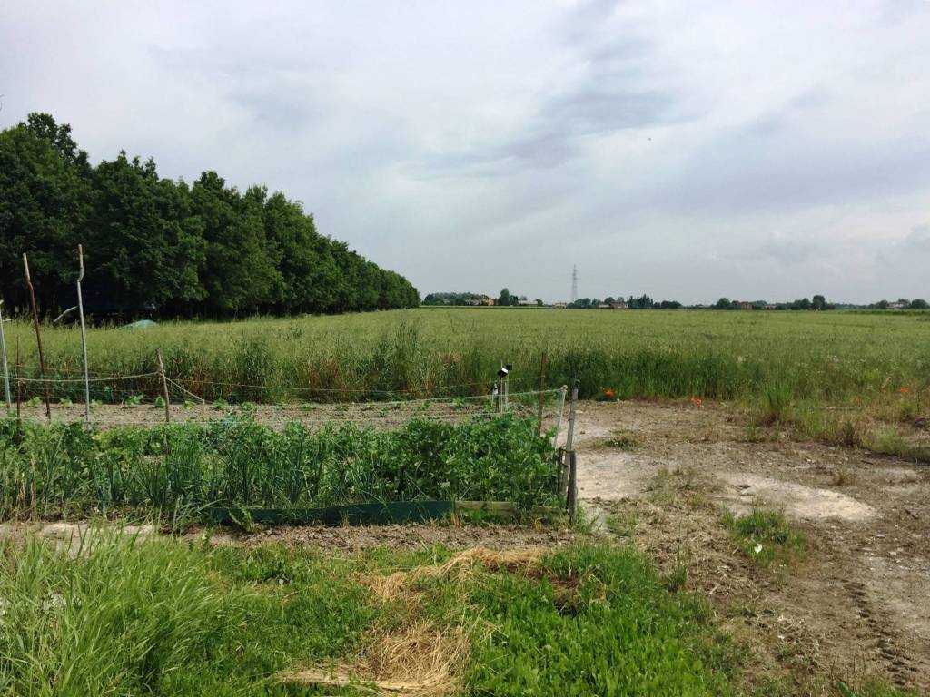 Terreno a Soliera in Via Carpi Ravarino, 613 - Foto 4