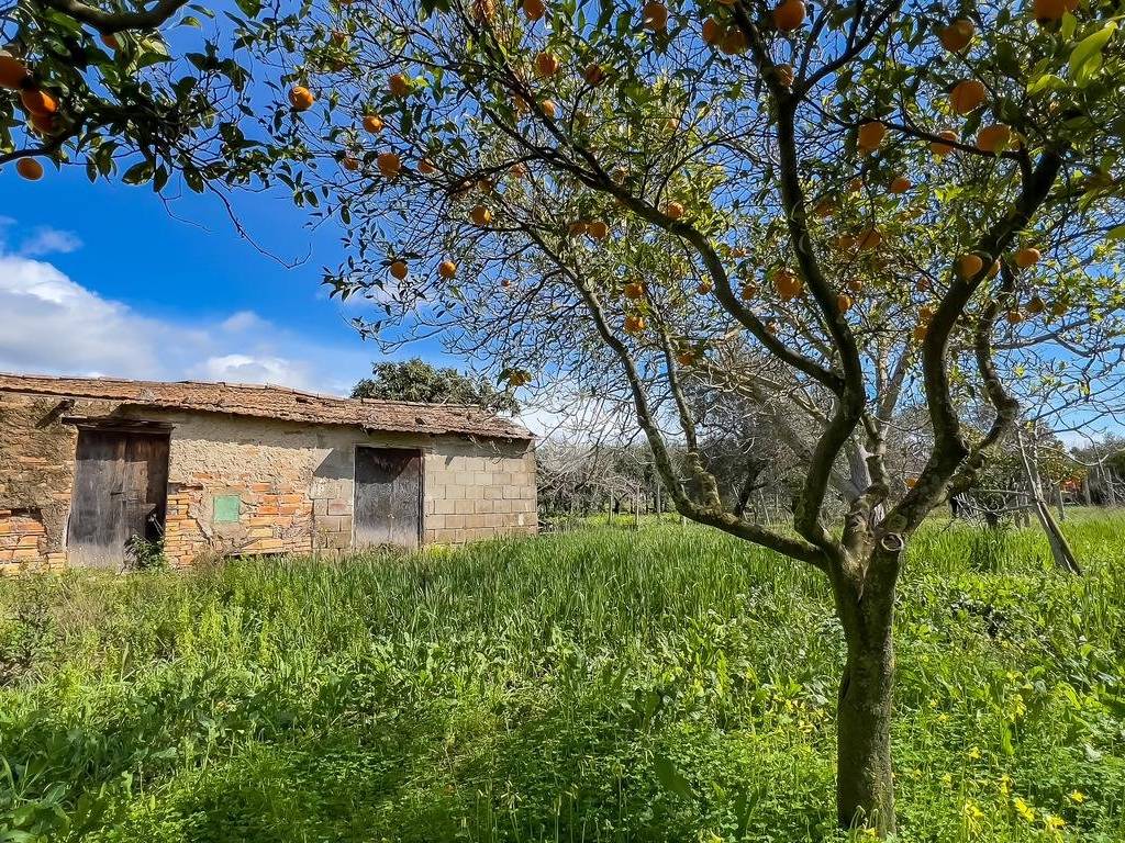 Rustico / casale a Formia in Via SS7, 515 - Foto 2