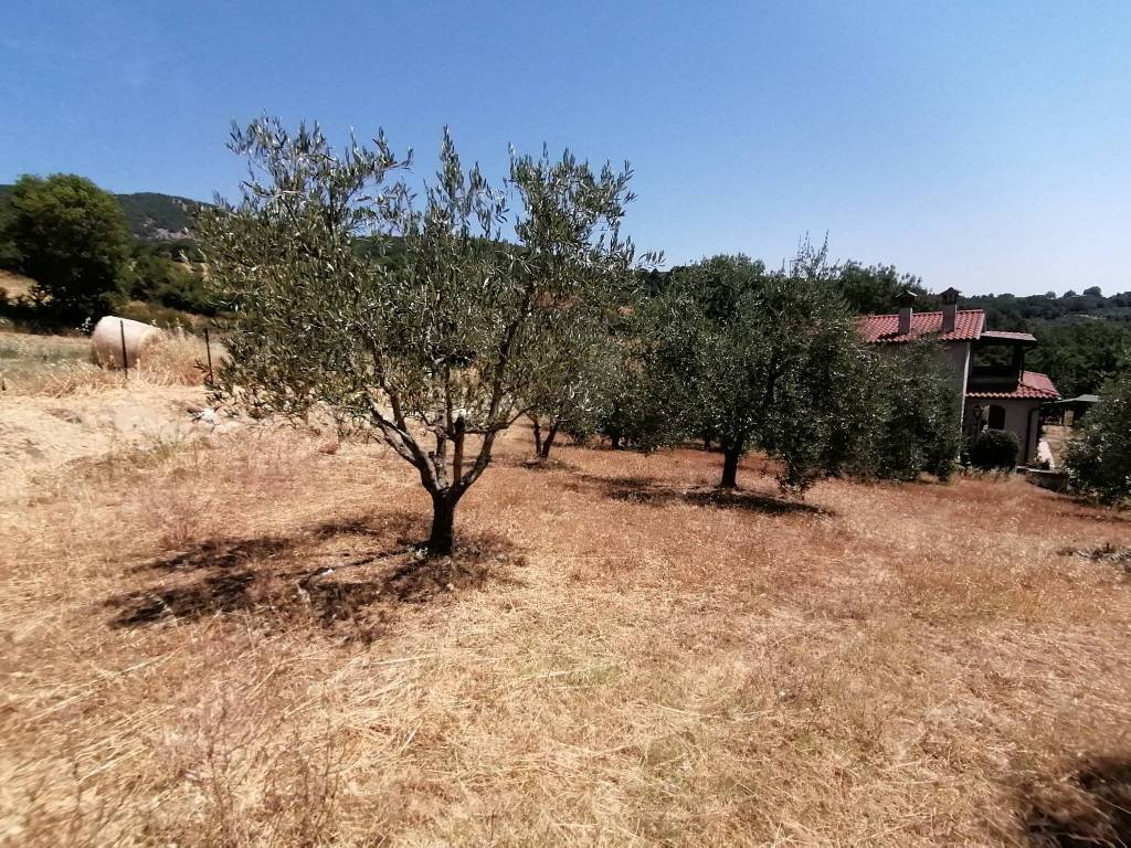 Villa a Sorano in Case Sparse Capannone - Foto 5