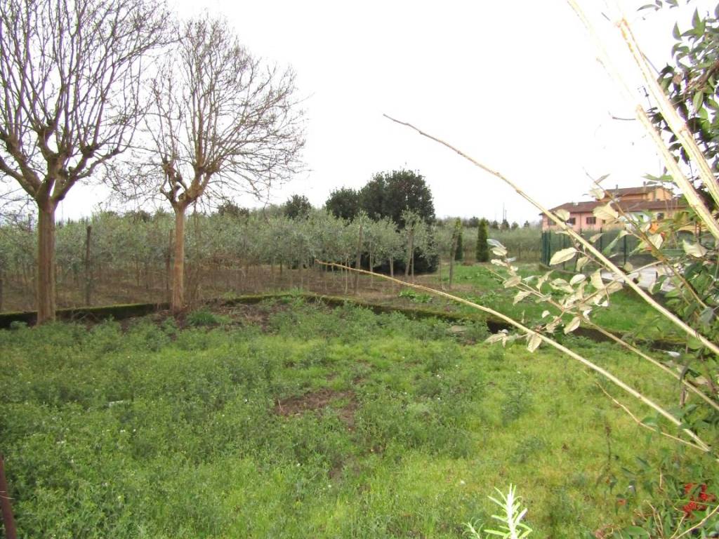 Casa indipendente a Pistoia in Via San Sebastiano - Foto 4