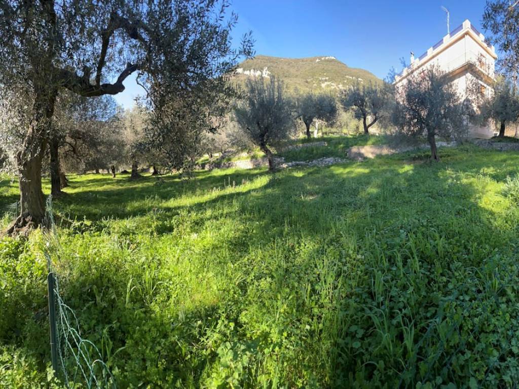 Villa a Capaccio paestum in Via Posillipo, 3 - Foto 3