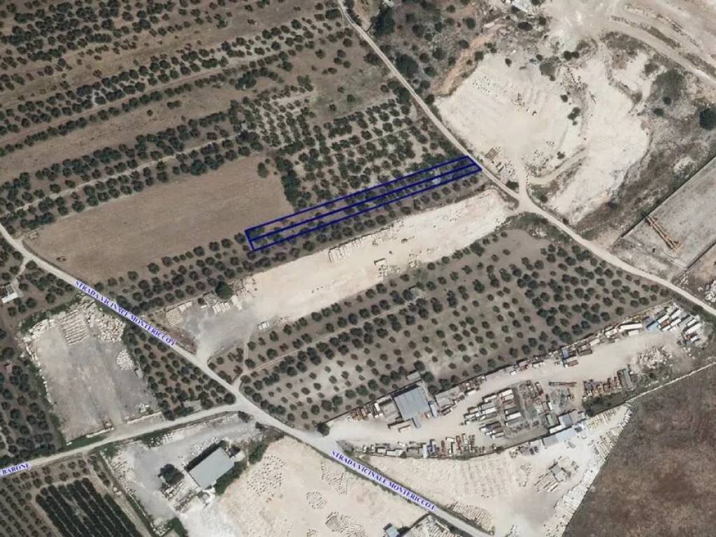 Terreno a Trani in Strada Montericco Ii S.N.C. - Foto 3