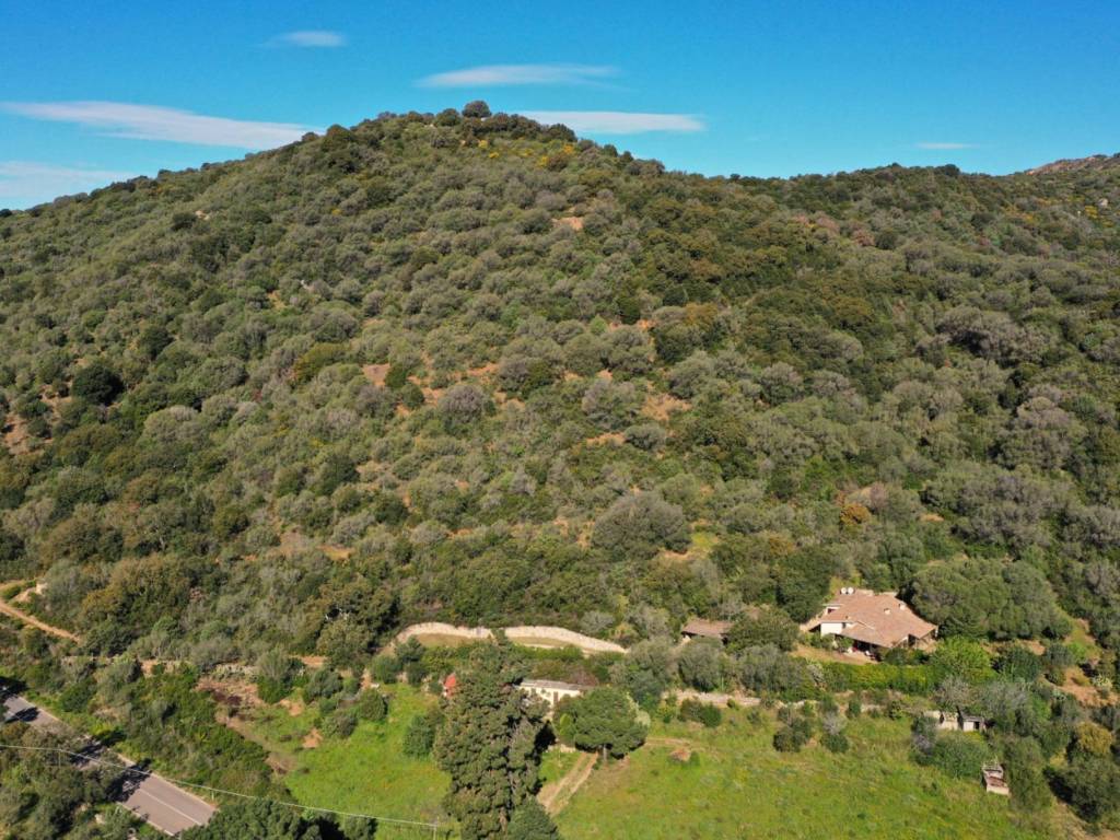 Villa a Loiri porto san paolo in SP87 - Foto 5