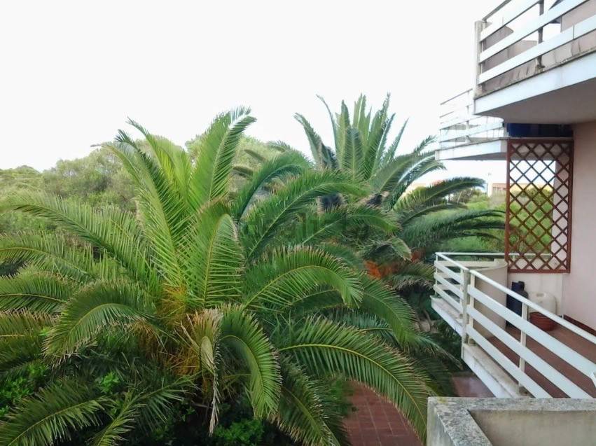 Villetta a schiera a Stintino in Via Grecale - Foto 3
