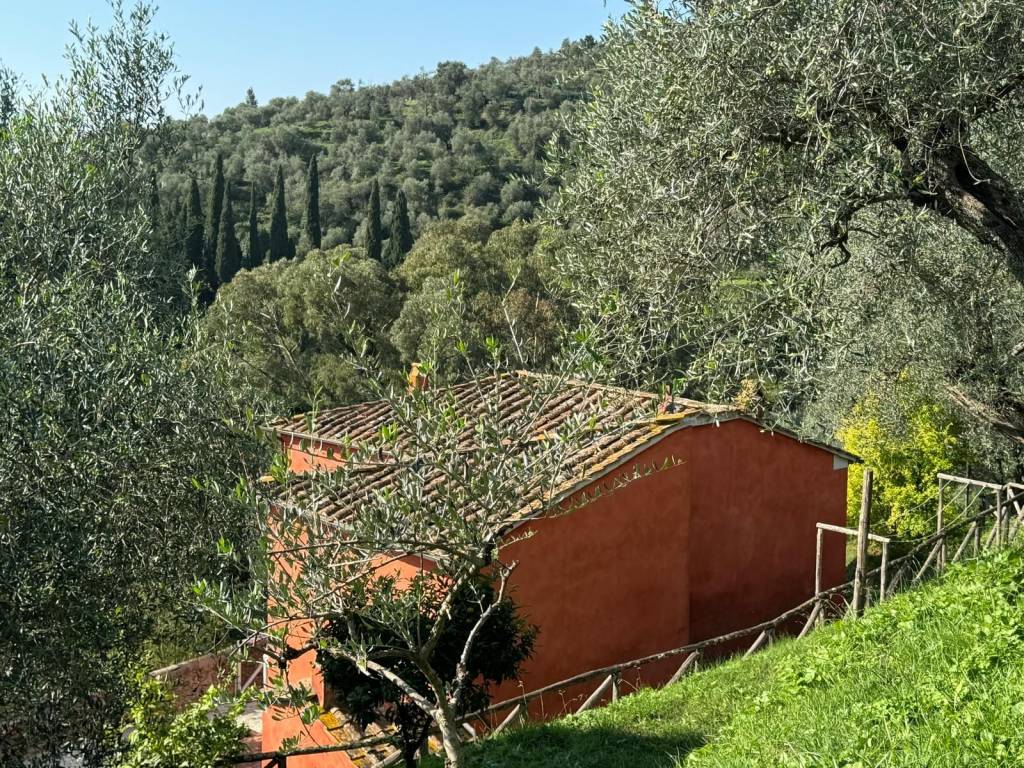 Rustico / casale a Massarosa - Foto 5