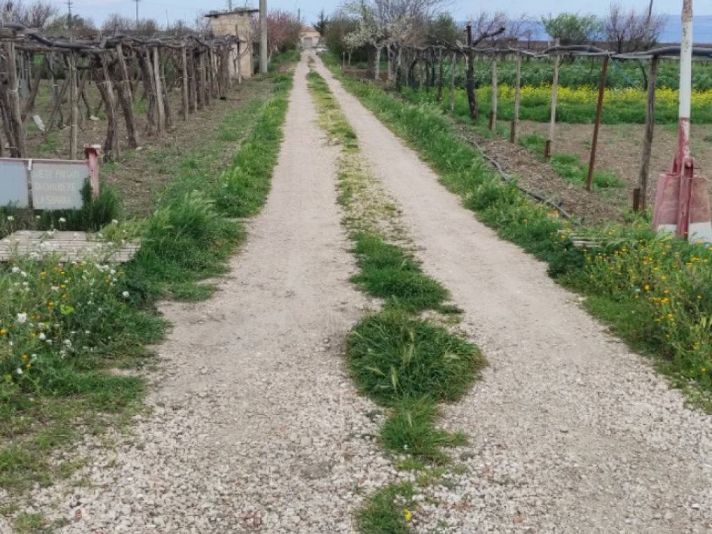 Terreno a Foggia in Strada Provinciale - Foto 2