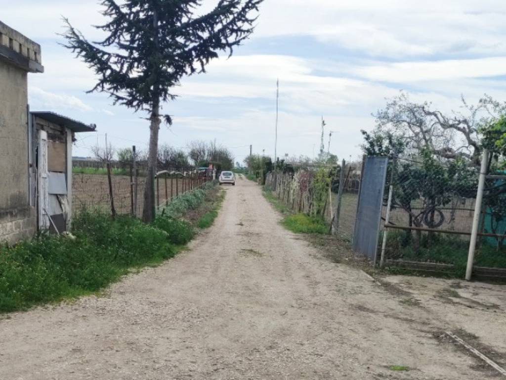 Terreno a Foggia in Strada Provinciale - Foto 3