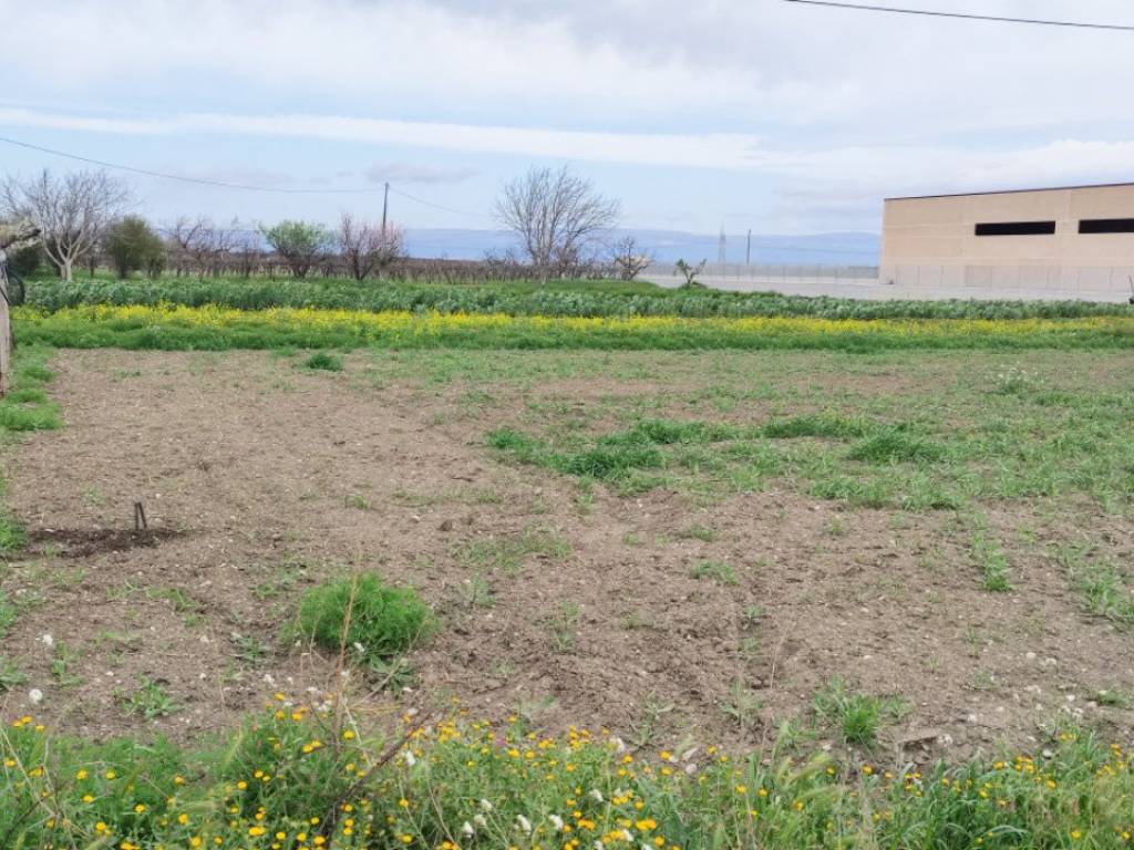 Terreno a Foggia in Strada Provinciale - Foto 5