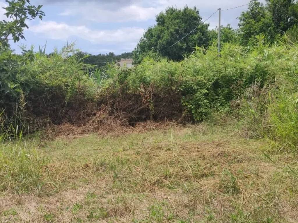 Terreno a Forio in Via Mezzavia S.N.C. - Foto 2