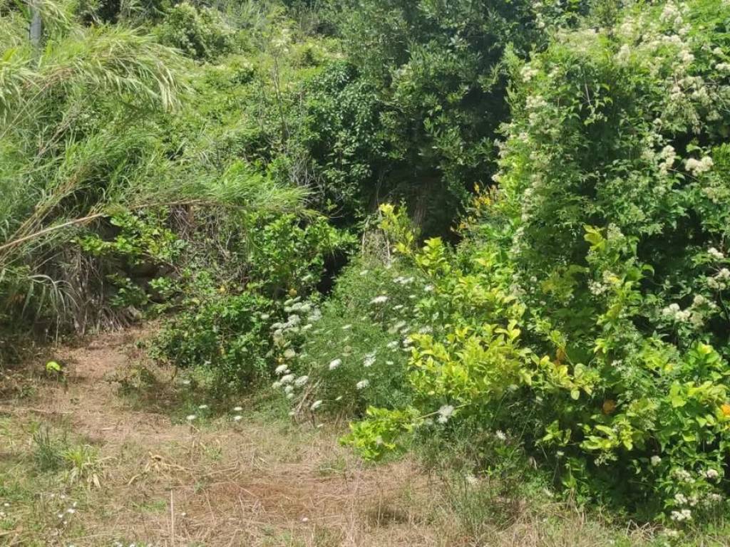 Terreno a Forio in Via Mezzavia S.N.C. - Foto 4