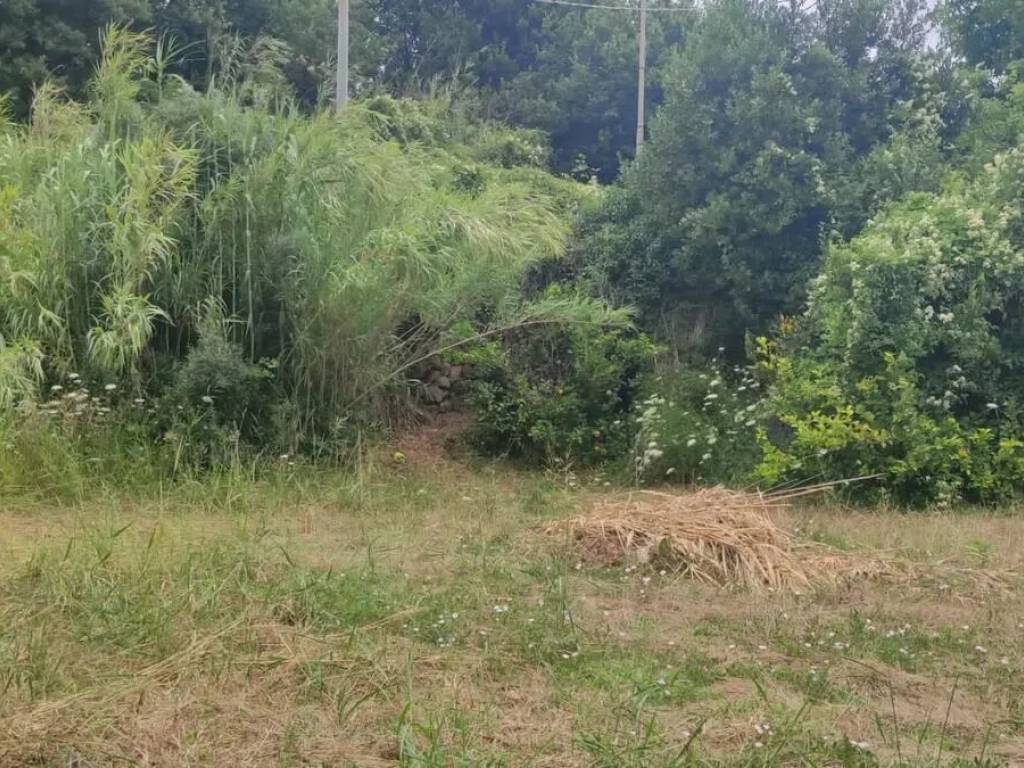 Terreno a Forio in Via Mezzavia S.N.C. - Foto 5